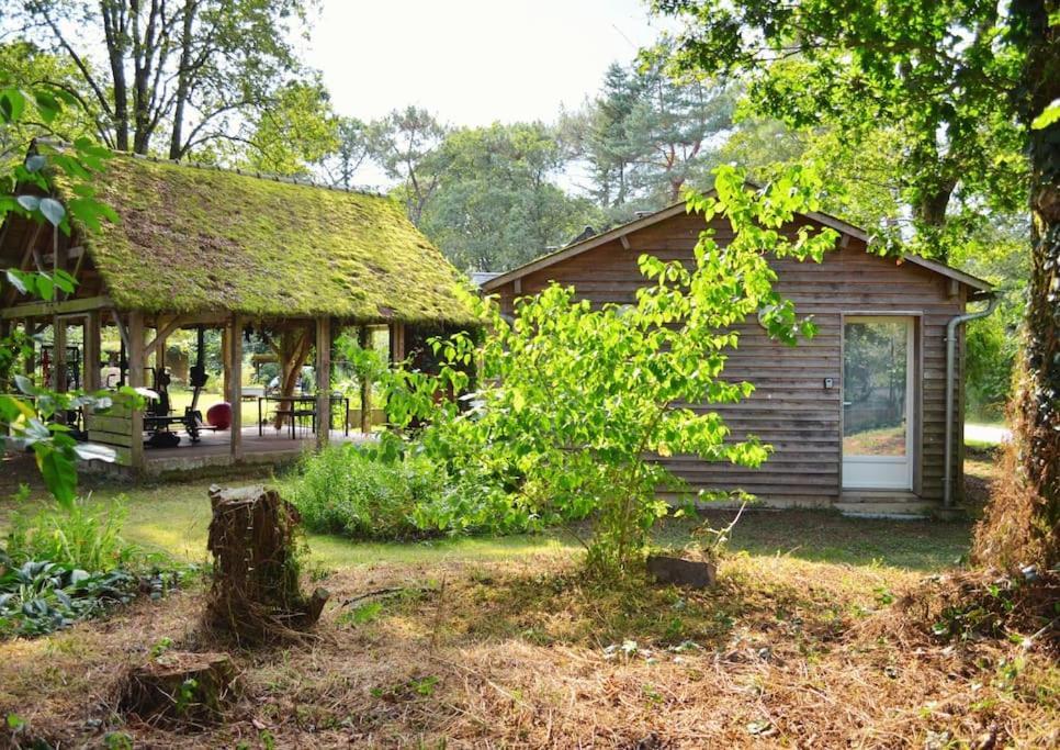 Chalet Cosy Au Coeur De La Foret De Broceliande *
