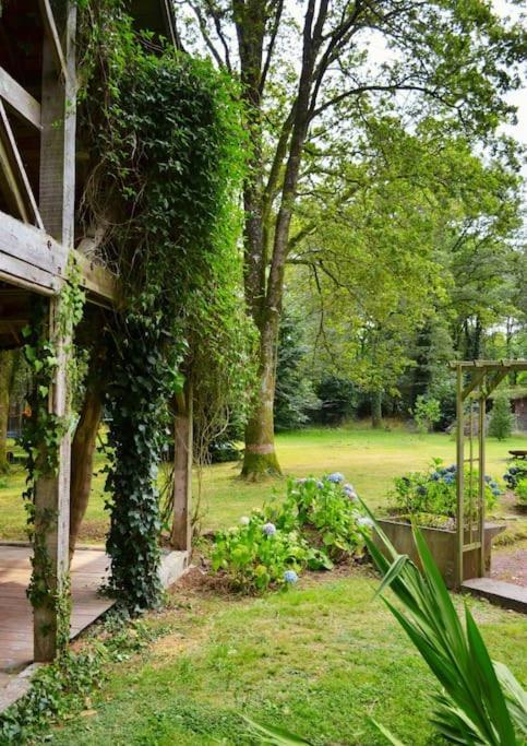 Cosy Au Coeur De La Foret De Broceliande Beignon